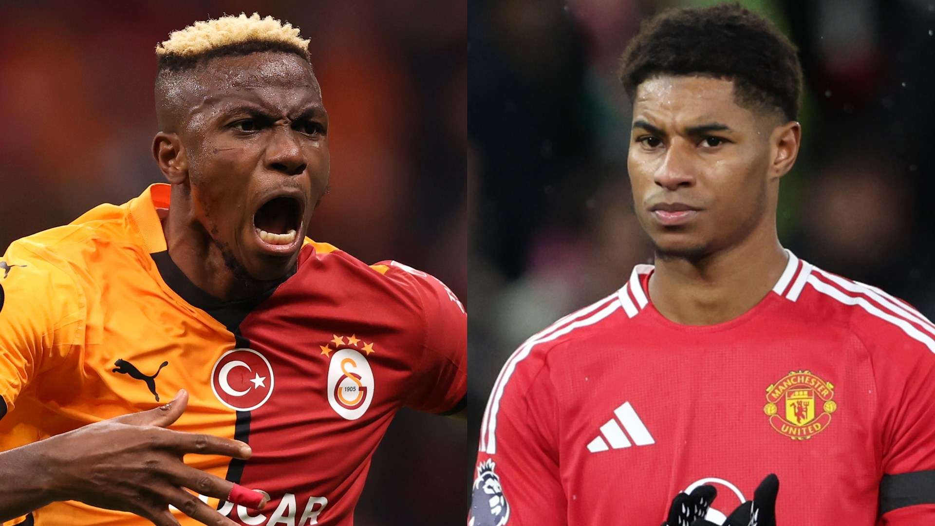 成为他们本 成为他们本