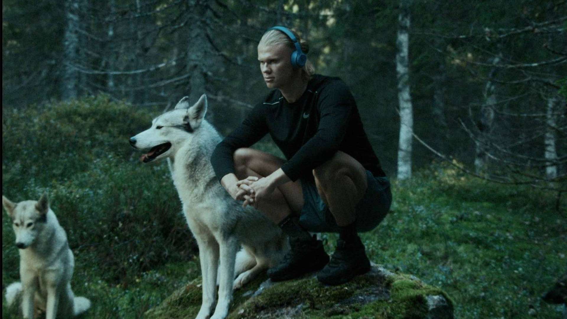 韩国体育界 韩国体育界