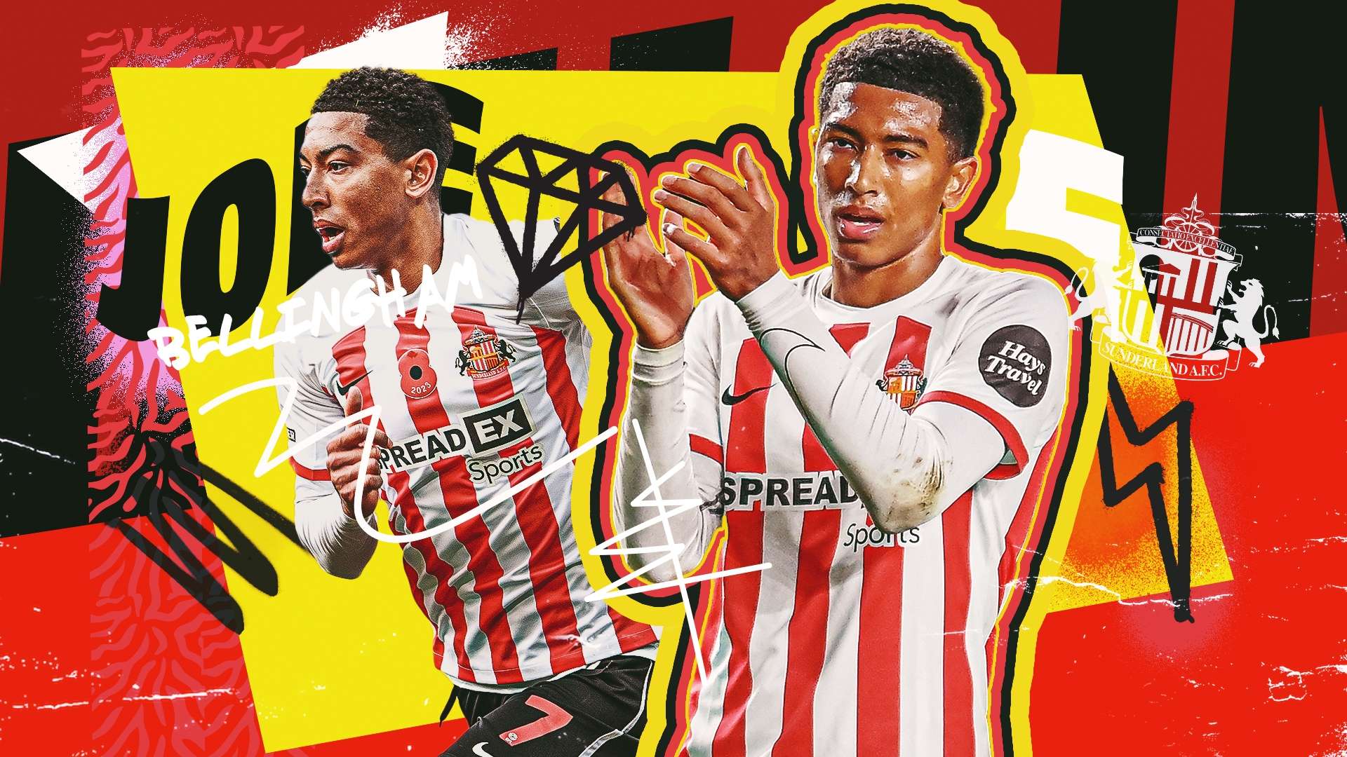 事的观赏价 事的观赏价